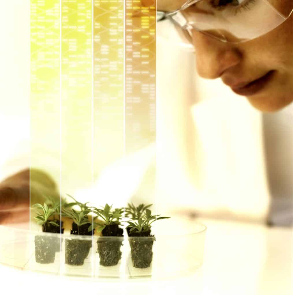 Für das Testing4Ag-Innovationsprogramm von Bayer können Wissenschaftler aus aller Welt jetzt Ideen einreichen, um nachhaltige Lösungen für neue Pflanzenschutzmittel zu finden. | Foto: Bayer AG