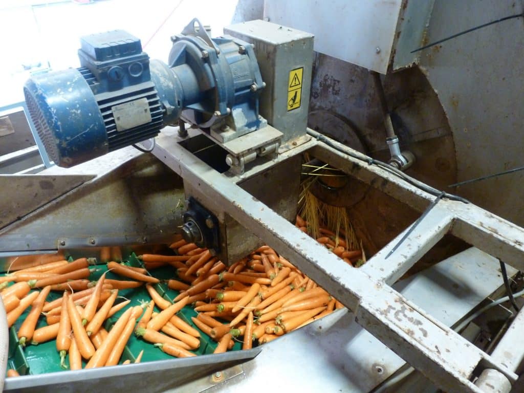 In einem zwölfmonatigen Pilotprojekt mit Life-Lube®-Lager traten keine Ausfälle an der Karottenwaschanlage auf. Zuvor war es etwa alle sechs Wochen zu Stillständen gekommen. | Foto: NSK