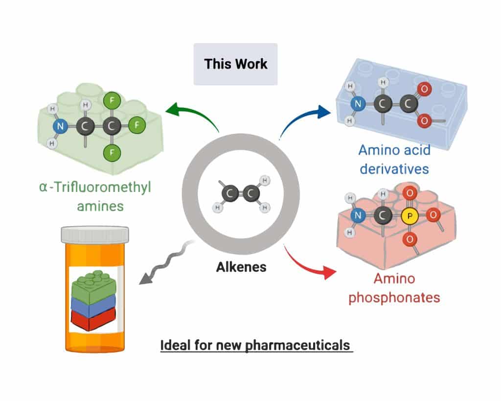 Mit dem von den Forschern entwickelten Prozess können neben den Aminen auch  beispielsweise Trifluormethylgruppen – ebenso im pharmazeutischen Kontext begehrte Strukturelemente – eingebaut werden. | Grafik: Maulide Group