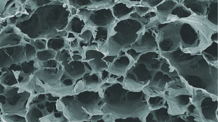 Die typische luftige Struktur von Aerogel (Elektronenmikroskopie, koloriert) | Bild: Empa
