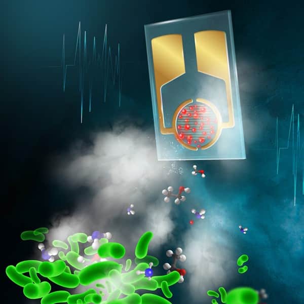 Die "künstliche Nase" erkennt Gase, die der Stoffwechsel von Bakterien freisetzt. | Foto: Prof. Raz Jelinek