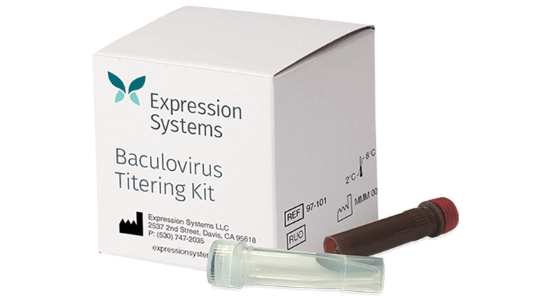 Expression Systems ist auf das Baculovirus-Expressionsvektorsystem (BEVS) spezialisiert. | Foto: Expression Systems
