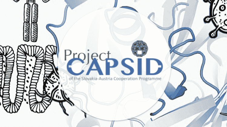 Project CAPSID | Foto: https://capsid.vbcf.ac.at/at/