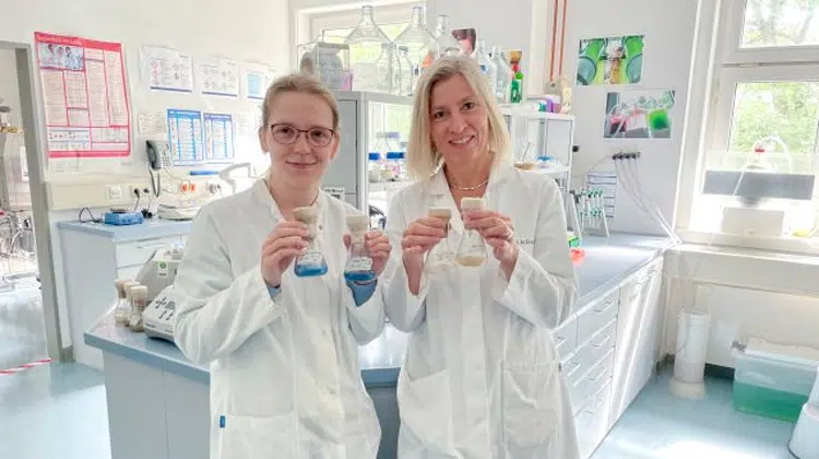 Papierhandtuch Recycling: Das Forschungsteam von Cell2Cell (von links): Diana Austen und Prof. Dr. Elke Wilharm. | Foto: Ostfalia Hochschule für angewandte Wissenschaften