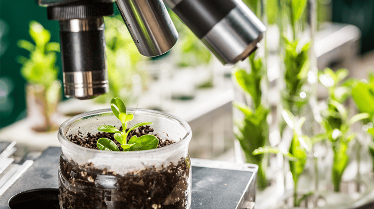 Das Biotech Start-up Targenomix wird mit seiner einzigartigen Expertise in Systembiologie und Bioinformatik die Fähigkeiten von Bayer im Bereich Pflanzenschutz und darüber hinaus erheblich stärken und erweitern. | Foto: shaiith/Adobe Stock