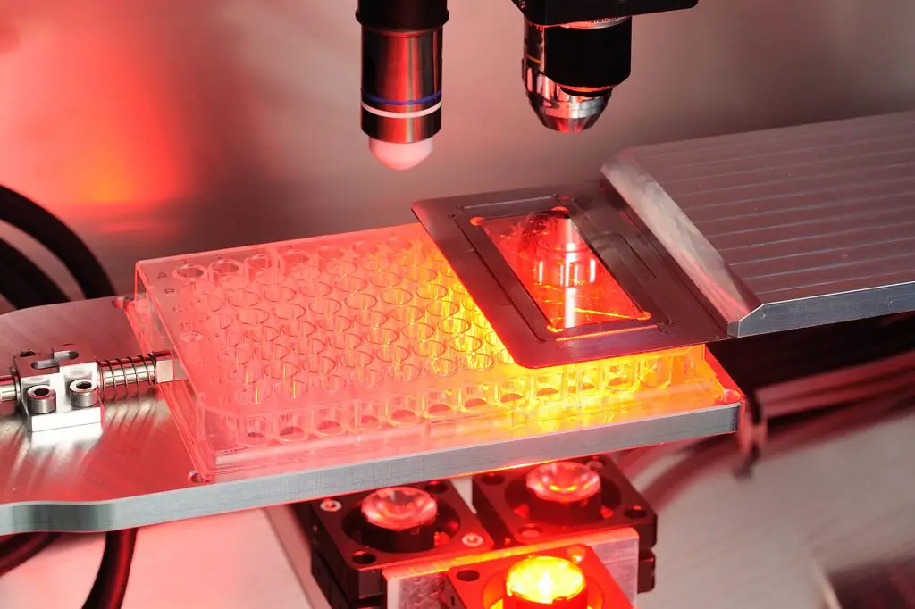 Liftoscope: Kontaktfreie Herstellung von Zellkulturen mittels Mikroskopie und laserinduzierten Vorwärtstransfer | Foto: Rainer Neumeyer, Fraunhofer ILT 