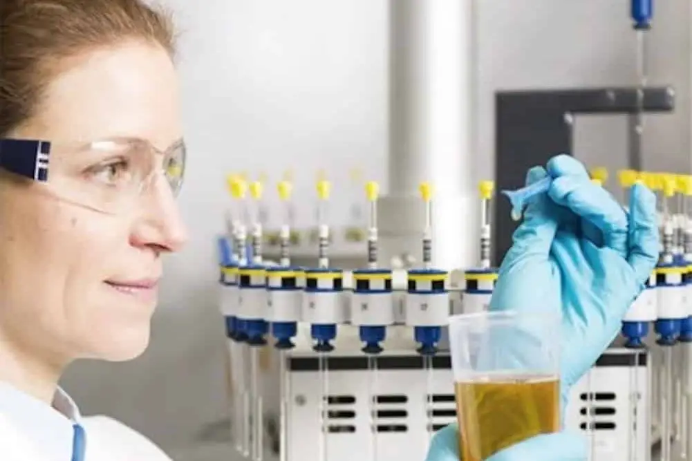 Prüfung einer Olivenölprobe am Nordbayerischen NMR-Zentrum auf dem Campus der Universität Bayreuth. | Foto: ALNuMed GmbH